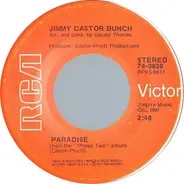 The Jimmy Castor Bunch - Paradise / The First Time Ever I Saw Your Face