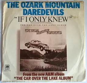 Ozark Mountain Daredevils - If i Only knew