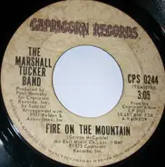 The Marshall Tucker Band - Fire On The Mountain