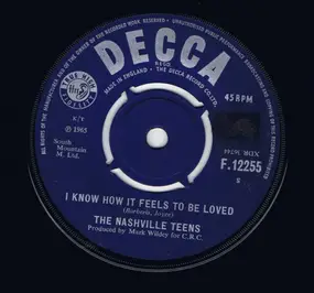 The Nashville Teens - I Know How It Feels To Be Loved