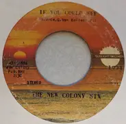 The New Colony Six - If You Could See / Roll On