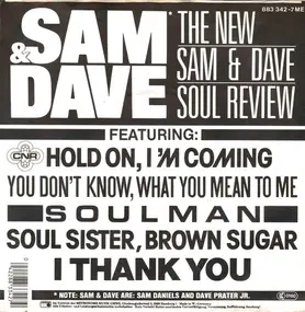 Dave - The New Sam & Dave Soul Review