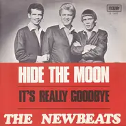 The Newbeats - Hide The Moon
