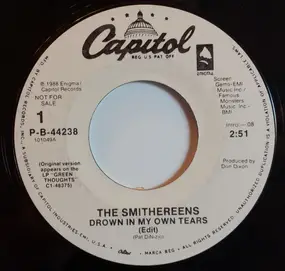 The Smithereens - Drown In My Own Tears