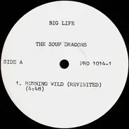 The Soup Dragons - Running Wild (Revisited)