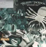 The Sleepy Jackson - I Understand What You Want But I Just Don't Agree