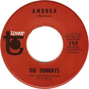 The Sunrays - Andrea / You Don't Phase Me