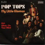 The Pop Tops - My Little Woman