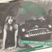 The Palmer Band - Livin' In Dreamland