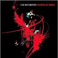 The Waterboys - Karma to Burn
