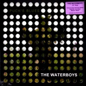 The Waterboys - Puck's Blues
