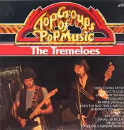 The Tremeloes - Top Groups of Pop Music