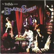 The Triffids - The Black Swan