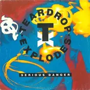 The Teardrop Explodes - Serious Danger
