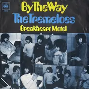 Tremeloes - By The Way