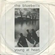 The Bluebells - Young At Heart