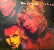 The Darling Buds - Burst