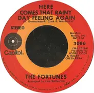 The Fortunes - Here Comes That Rainy Day Feeling Again