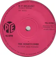 The Honeycombs - Is It Because?