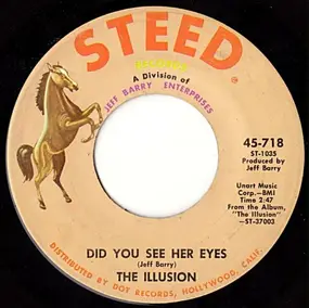 Illusion - Did You See Her Eyes