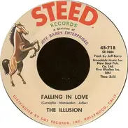 The Illusion - Falling In Love / Did You See Her Eyes