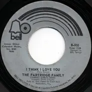 The Partridge Family - I Think I Love You / Somebody Wants To Love You