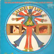 The Ray Charles Singers - Slices of Life