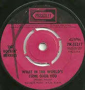 The Rockin' Berries - What In The World's Come Over You