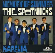 The Spotnicks - Memory Of Summer