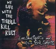 My Life With The Thrill Kill Kult - I See Good Spirits And I See Bad Spirits