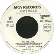 Tim Weisberg - What's Going On