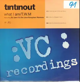 tin tin out - What I Am /  T.W.M.
