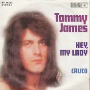 Tommy James - Hey, My Lady
