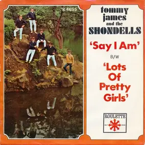 Tommy James & the Shondells - Say I Am (What I Am)