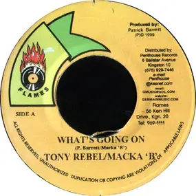 Tony Rebel - What's Going On