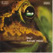 Toad - Stay ! / Animals' World