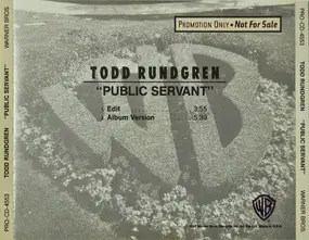 Todd Rundgren - Public Servant