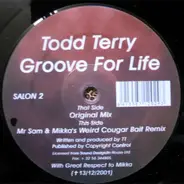 Todd Terry - Groove For Life