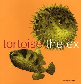 Tortoise - In the Fishtank