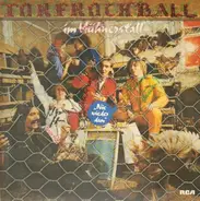 Torfrock - Ball im Hühnerstall