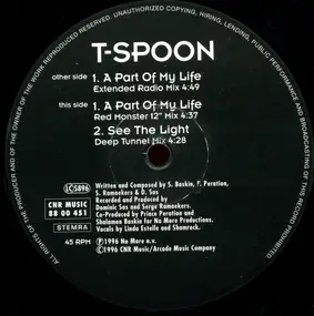 T-Spoon - A Part Of My Life