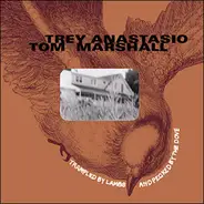 Trey Anastasio , Tom Marshall - Trampled By Lambs & Pecked By The Dove