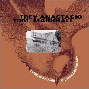 Trey Anastasio - Trampled By Lambs & Pecked By The Dove