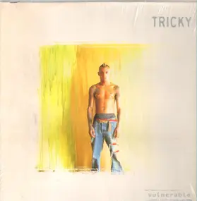 Tricky - Vulnerable