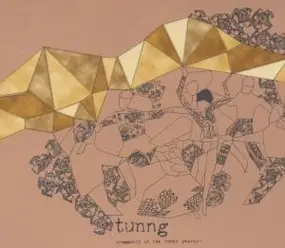 Tunng - Comments of the Inner Chorus