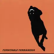 Turntable Terranova - Precipice / Penetrate
