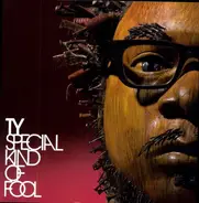 Ty - Special Kind of Fool