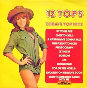 Unknown Artist - 12 Tops - Todays Top Hits