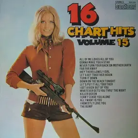 16 Chart Hits - Volume 15