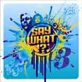 Us3 - Say What